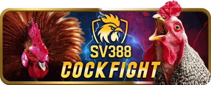 Đá Gà Cựa Sắt 77win9