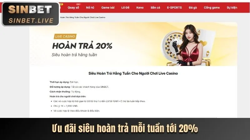Quản lý tài khoản riêng 12 bet